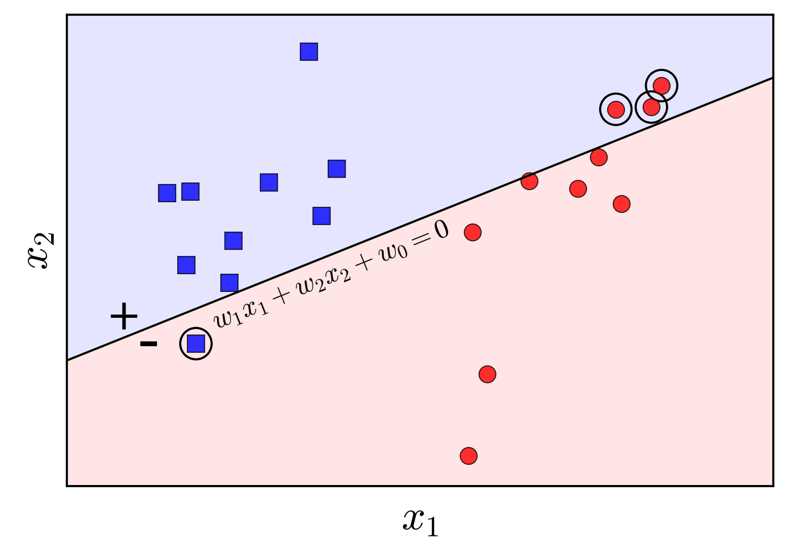 Arbitrary decision boundary with misclassified points circled.